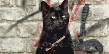 filing nails cat GIF