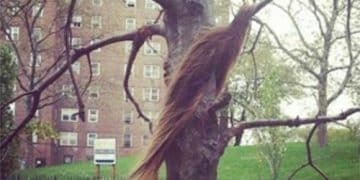Hurricane Sandy hair weave First Victim
