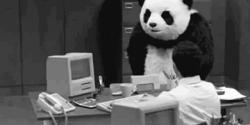 Panda Tantrum gif