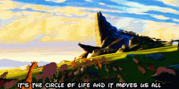 lion king circle of life gif