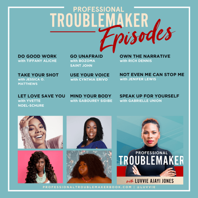 Professional Troublemaker Playlist PT Podcast Episodes