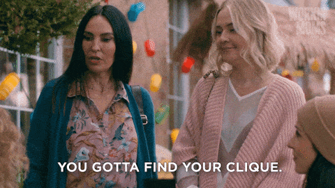 Find Your Clique GIF